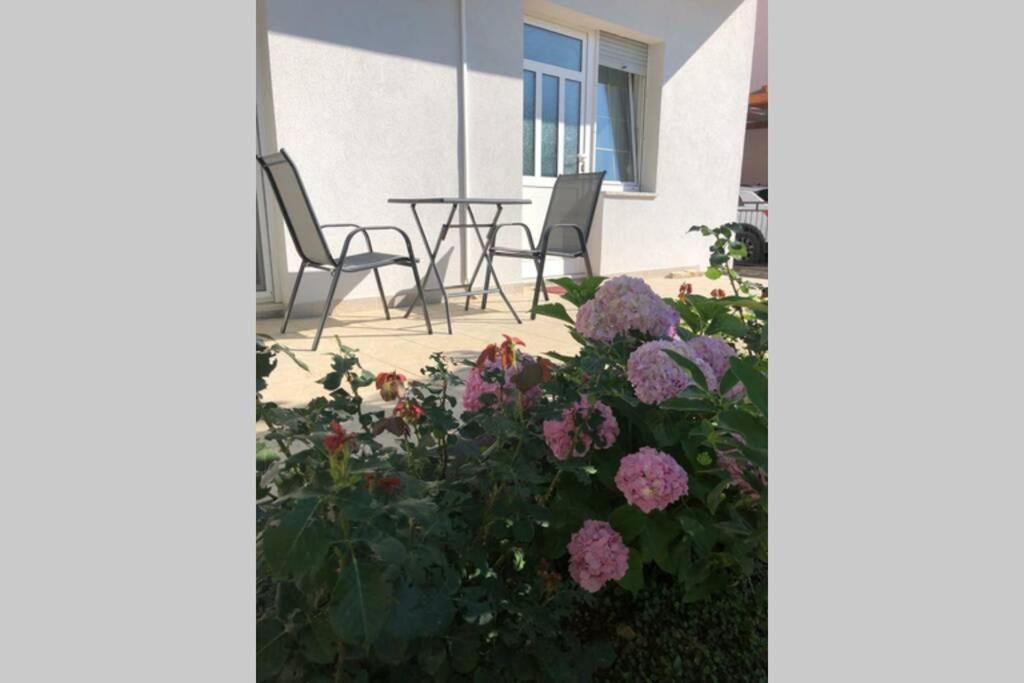 Appartement Marin à Zadar Extérieur photo