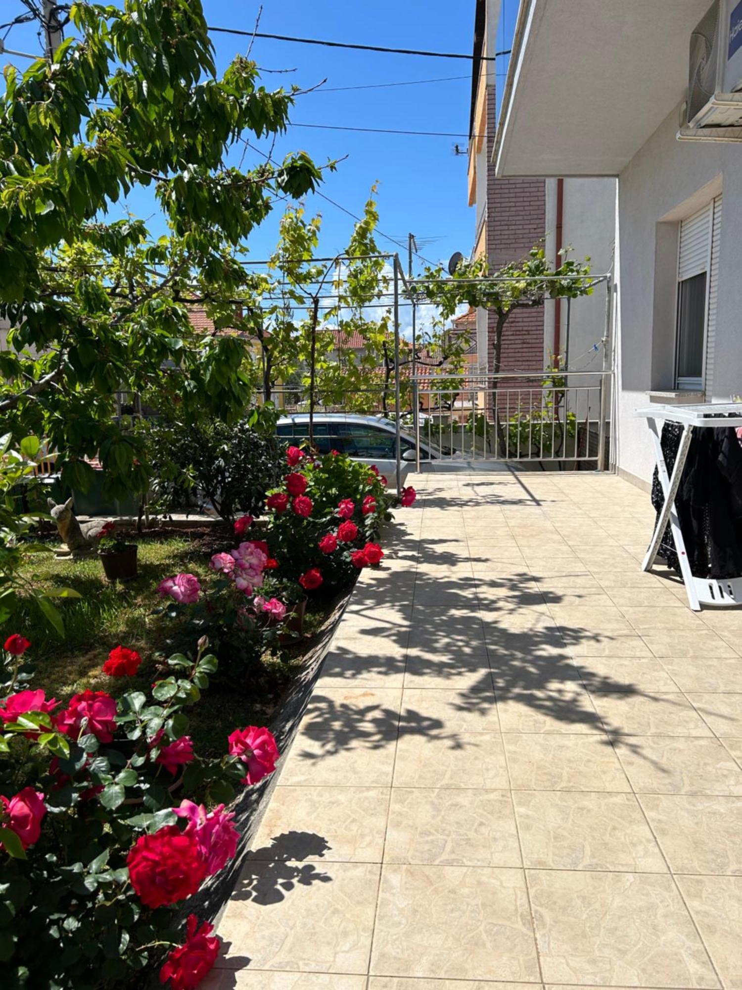 Appartement Marin à Zadar Extérieur photo